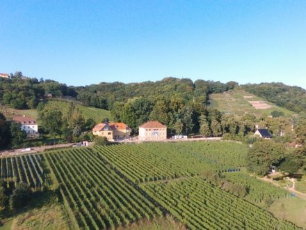 Weingut Haus Steinbach - Vogelperspektive